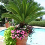 Landscape work