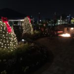 Holiday Lights