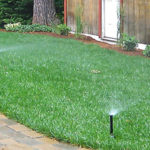 Landscape work