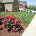 Landscape work