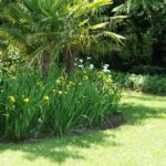 Landscape work
