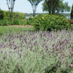 Landscape work