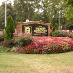 Annual Flowers