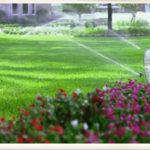 photo_irrigation3